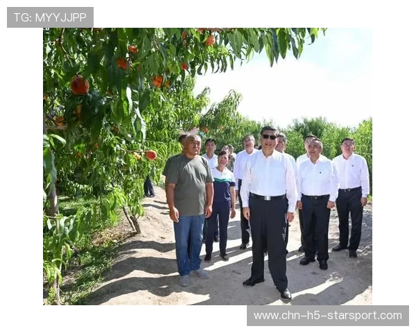 学习新语｜在总书记讲述中走进新疆70年