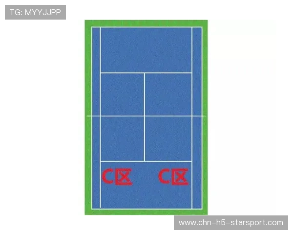 网球比赛策略数据化应用 网球比赛策略数据化应用